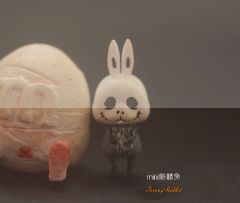 mini骷髅兔-资料图
