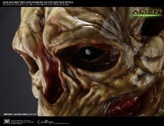 Alien Newborn -资料图