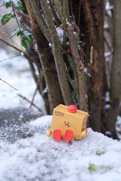 被遗忘的第4天-资料图