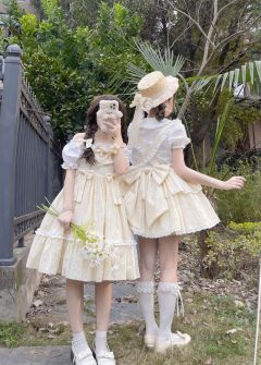 小雏菊-资料图