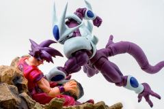 SHF 古拉 最终形态-资料图