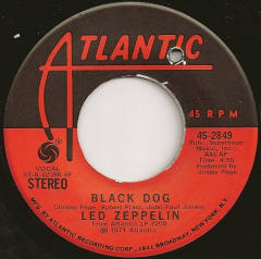 Black Dog