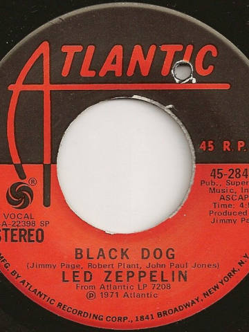 Black Dog