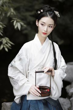 逐云-资料图