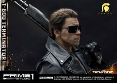 T-800 DX version-资料图