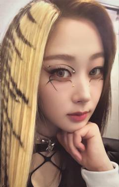 官周随机卡 梨ver.B