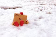 被遗忘的第4天-资料图