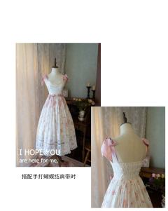 雏菊花信&月季花信-资料图