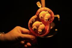 长岛冰茶雪糕-资料图