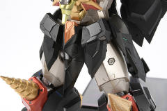 始源Gaogaigar-资料图