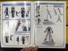 G.F.F.M.C RX-78-2 高达（库库鲁斯·多安之岛)-资料图