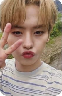 2期会员礼2 ver.B