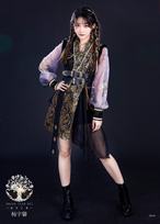 杨宇馨 应许之地海报