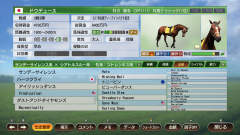 赛马大亨9 2022-资料图