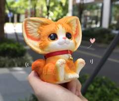 我的小橘猫-资料图