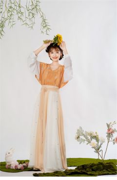 唐背子破裙套装-资料图