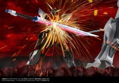ROBOT魂 GAT-X207 迅雷高达 ver. A.N.I.M.E.-资料图