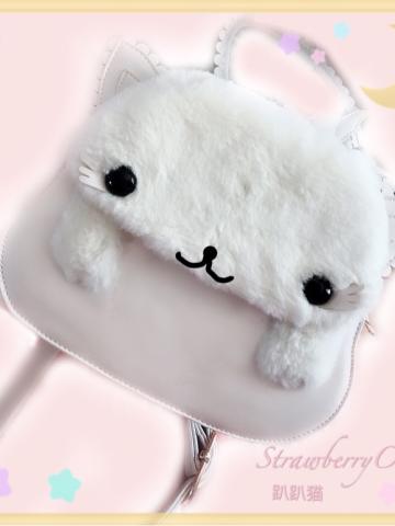 趴趴猫