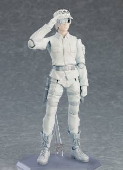 figma#489 白细胞 U-1146-资料图
