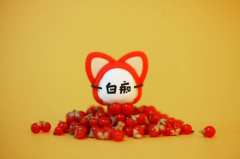 白痴狸-资料图