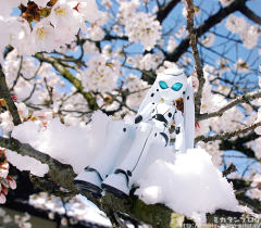 figma#038 Drossel von Flügel -资料图