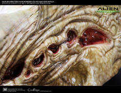 Alien Newborn -资料图