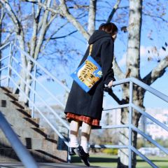 发财虎毛线针织挎包-资料图