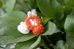 卡塔卡塔-红色-资料图