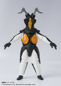 SHF 杰顿