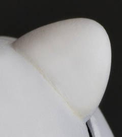 figma#467 拉芙塔莉雅 -资料图