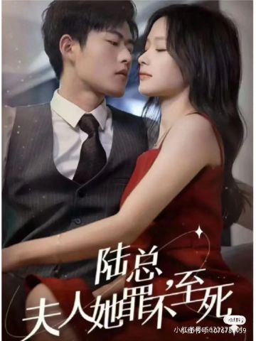 你好，陆先生