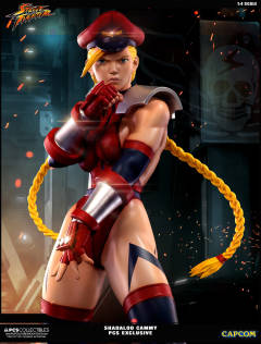 Mixed Media 嘉米·怀特 Shadaloo Cammy-资料图