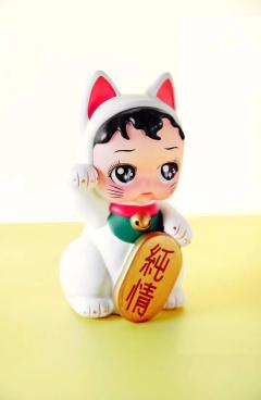 招纯情猫-资料图