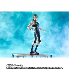 SHF T.M.Revolution-资料图