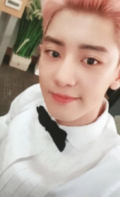 专卡灿 obsession verB.