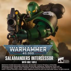 原铸星际战士 Salamanders-资料图