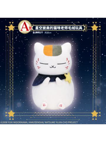 A赏 星空披肩的猫咪老师毛绒玩具