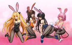 B-style 结城美柑 Bunny ver.-资料图