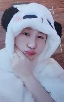 MS 8.0 Panda ver.F