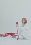 预售礼 河 ver.J