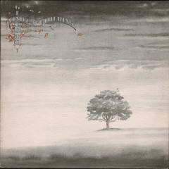 Wind &amp; Wuthering