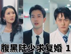 腹黑陆少求复婚