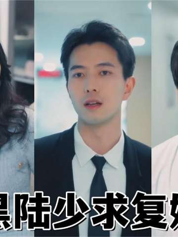 腹黑陆少求复婚