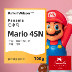 Mario 4SN巴拿马