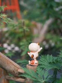 三花招财猫-资料图