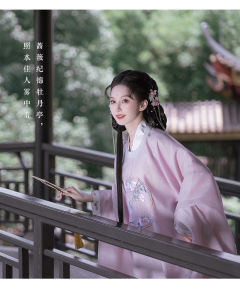 花蝶令-资料图