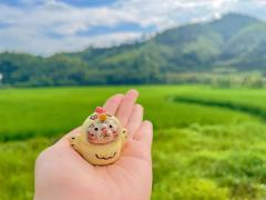 金蛋母鸡mini-资料图
