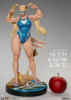 Street Fighter Season Pass 七川美华-资料图