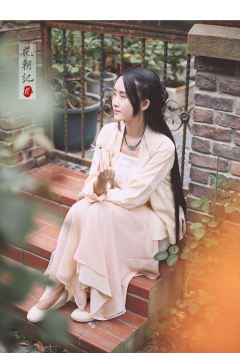 浅草疏杏-资料图