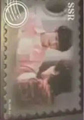 SSR【仲夏来信】